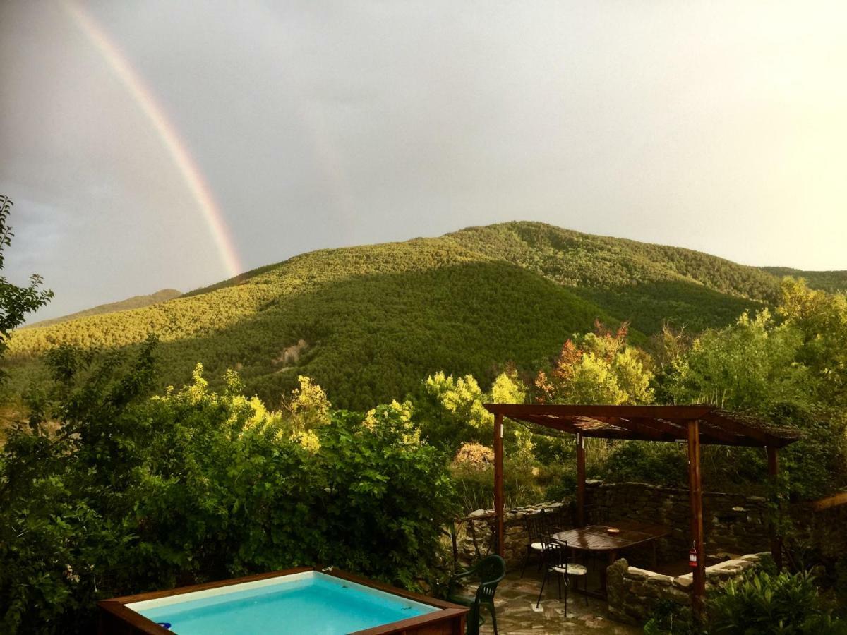 Guest house Pesca Vera Allue